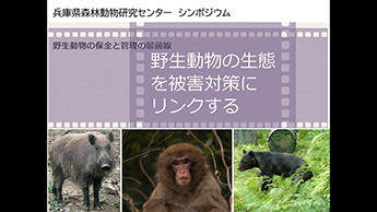 動画_野生動物の生態を被害対策にリンクする