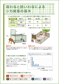 箱わなと囲いわなによるシカ捕獲の基本