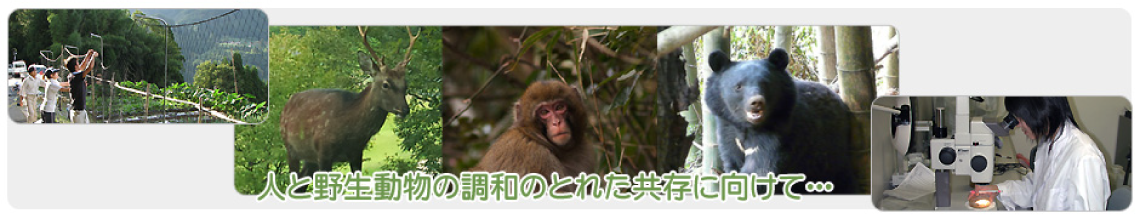 人と野生動物の調和のとれた共存に向けて…